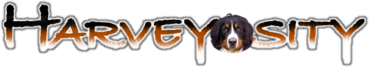 Harveyosity logo